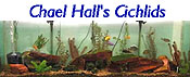 Chael Hall