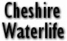 Cheshire WaterLife Ltd