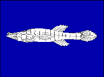 Image of Speoplatyrhinus poulsoni (Alabama cavefish)